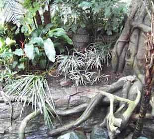 Tropenaquarium Hagenbeck