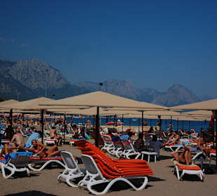 Plaża