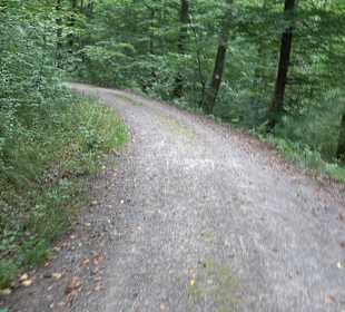 Altwege Rundwanderung Bebenhausen