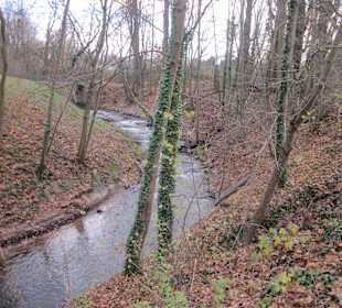 Partie an der Queich