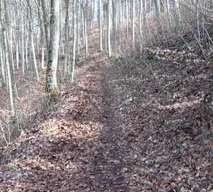 Bolberg Willmandingen