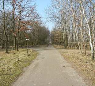 Wunderschöne Boberger Niederung
