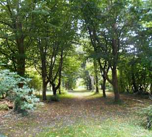 Le Manoir des Evêques