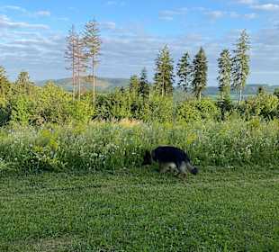 Wandern Schmallenberg