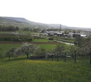 Wanderweg Firstwaldrunde