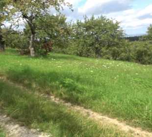 Hochgehnießen - Premiumspazierwanderweg