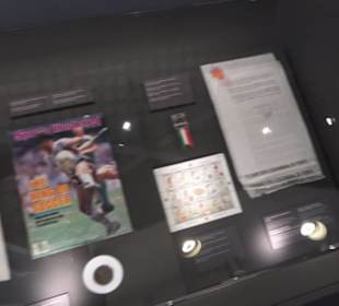 FIFA World Football Museum