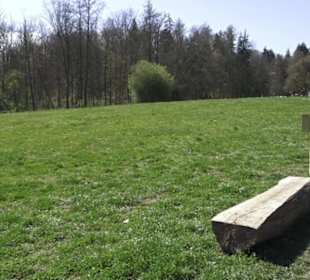 Sport- und Freizeitpark Markwasen