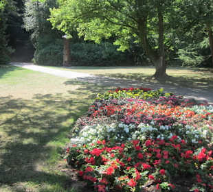 Kurpark Bad Bergzabern