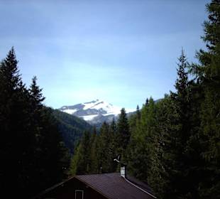Blick auf die Gletscher
