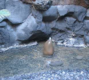 Kleiner Brunnen in einer Lavablase
