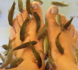 Sehr, sehr angenehm!