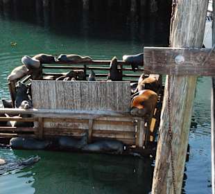 Old Fishermans Wharf, Monterey