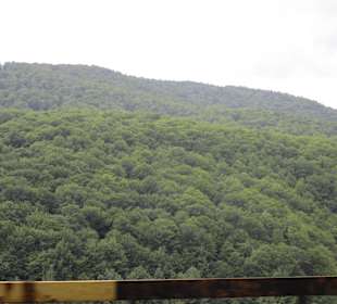 Valea Prahovei / Prahova-Tal
