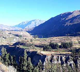 Colca-Canyon