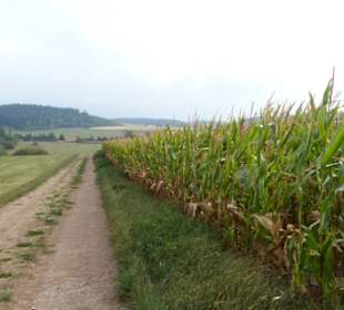 Abwechslungsreicher Weg