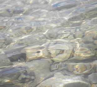 Klasklares Wasser, aufgenommen um die Mittagszeit
