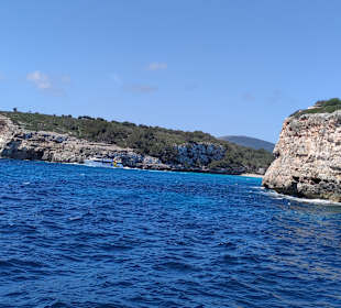 Glasbodenboot Tour Cala Millor