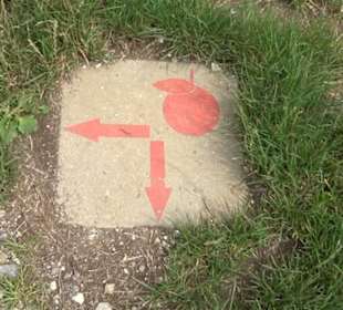 Premiumspazierweg Früchtetrauf-Leisawegle