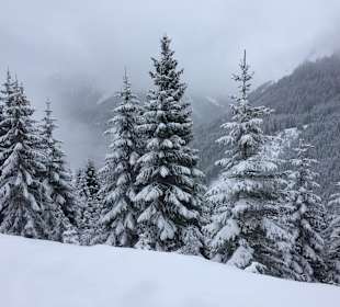Wandern Rinnen-Berwang