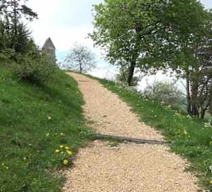 Berg Kornbühl Salmendingen