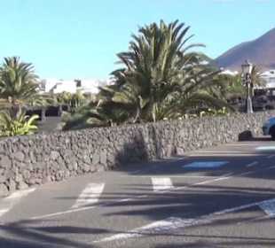 Fundacion Cesar Manrique