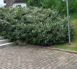 Evangelische Kirche Engeltal Hallwangen