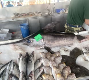 Markt Mogliano Veneto