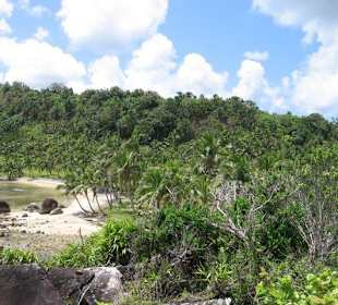 Ausflug zur Coco Bay