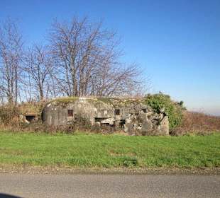 Mitten im Acker- leider offen