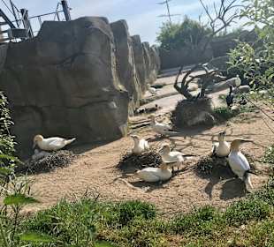 Zoo am Meer Bremerhaven