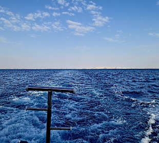 Orange Bay Delfin Tour und Schnorcheln 