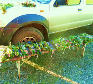 Alpabtrieb /Mellau / Vorarlberg Österreich