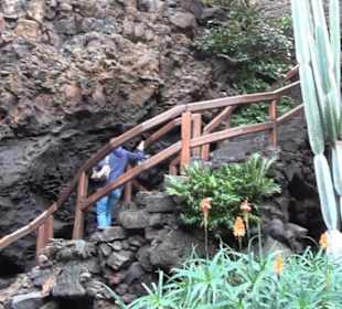 Jameos del Agua 