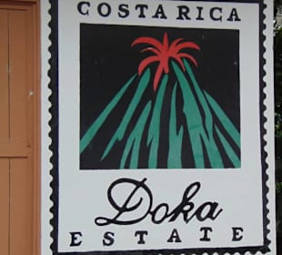 Doka Estate Kaffeeplantage
