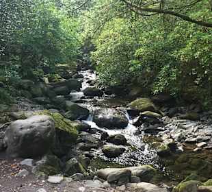 Torc Wasserfall
