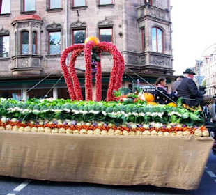 Knoblauchsland Fürth