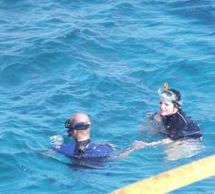 Delphintour Dezember 2010