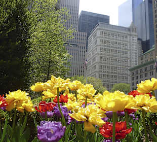 Fantastischer Mai in New York