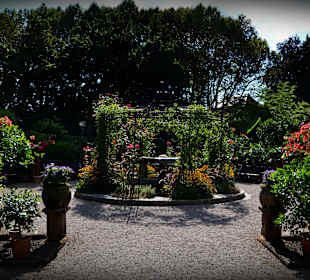 Citrus Garten