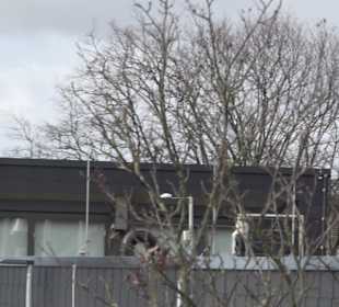 Kulturforum Großbettlingen