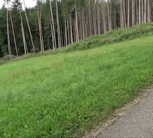 Sonnenaufgangs-Rundwanderung Rübgarten