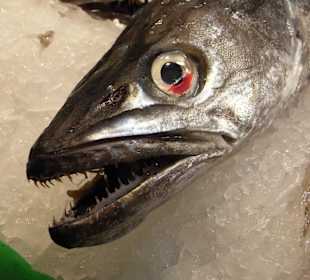 Fischstand in der Markthalle von Barcelona