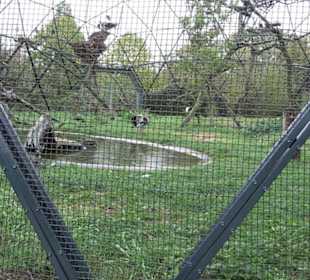 Tierpark 