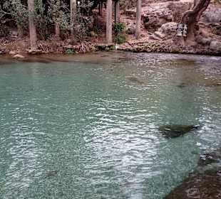 Wandern Manavgat - Kizilagac