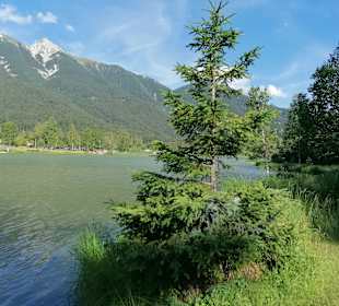 Wildsee