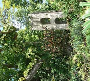 Botanischer Garten