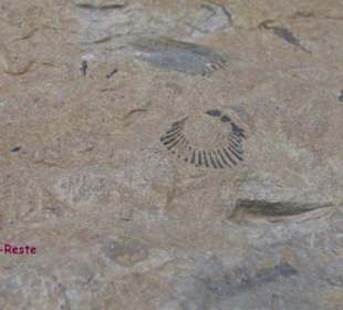 Eindrucksvolle Bergwelt