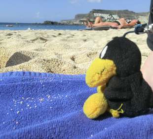 Mein treuer Begleiter - immer dabei!