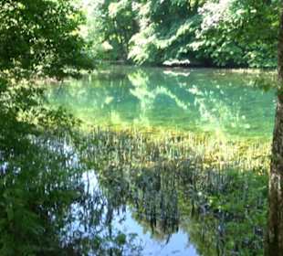Mittlerer Gönninger See